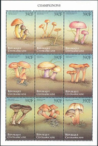 ЦАР, 1999, Грибы, лист